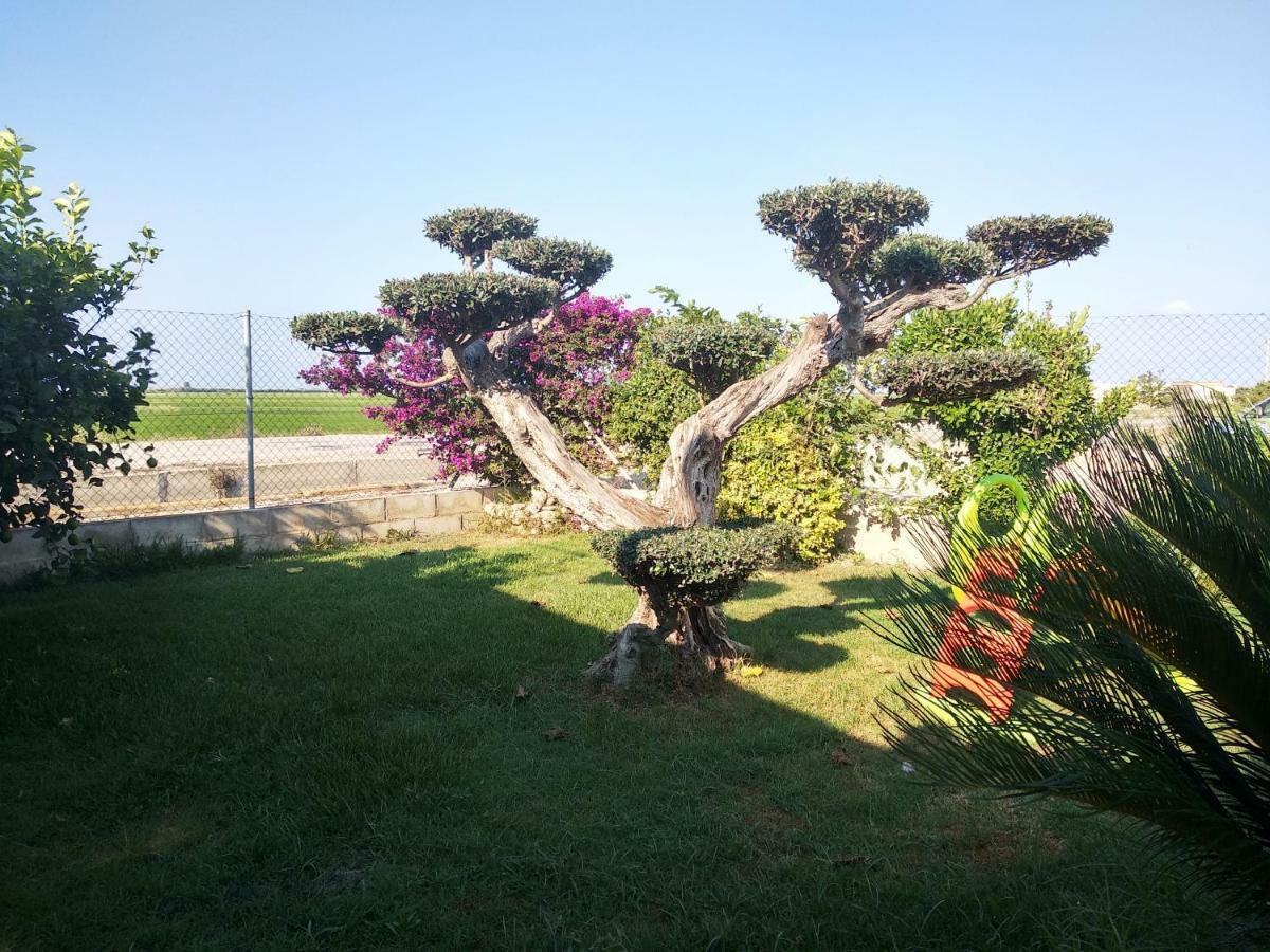 Caseta Rovira Deltebre Esterno foto