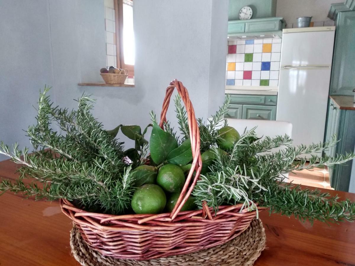 Caseta Rovira Deltebre Esterno foto